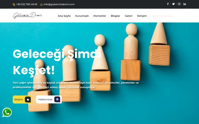 Gülsemin Demir web sitesi